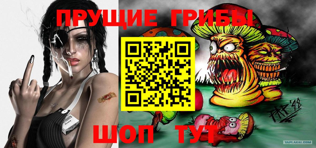 Псилоцибиновые грибы прущие грибы Выкса