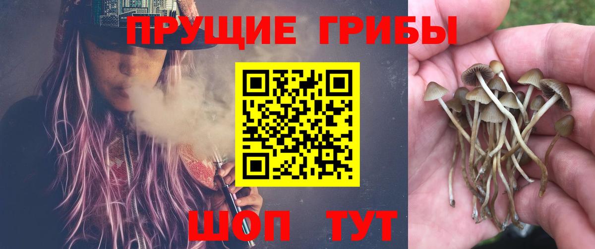 Псилоцибиновые грибы Magic Shrooms  Вход с VPN  Выкса 